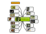 Visual english learning - Animals we see in the garden