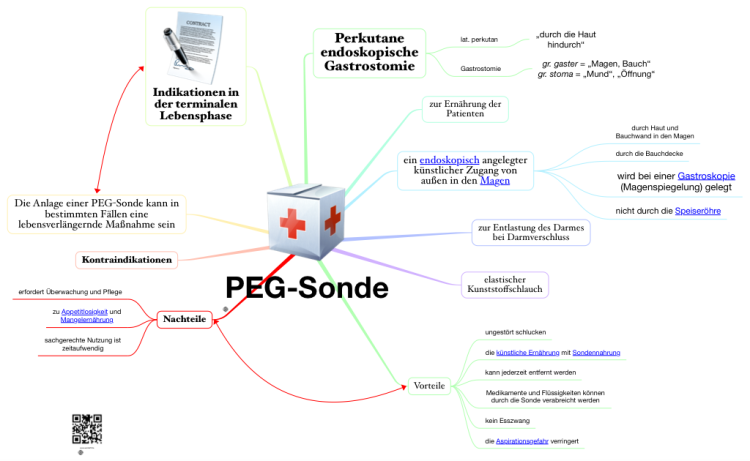 PEG-Sonde (Perkutane endoskopische Gastrostomie)