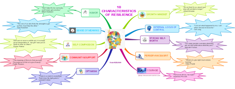 10 CHARACTERISTICS OF RESILIENCE