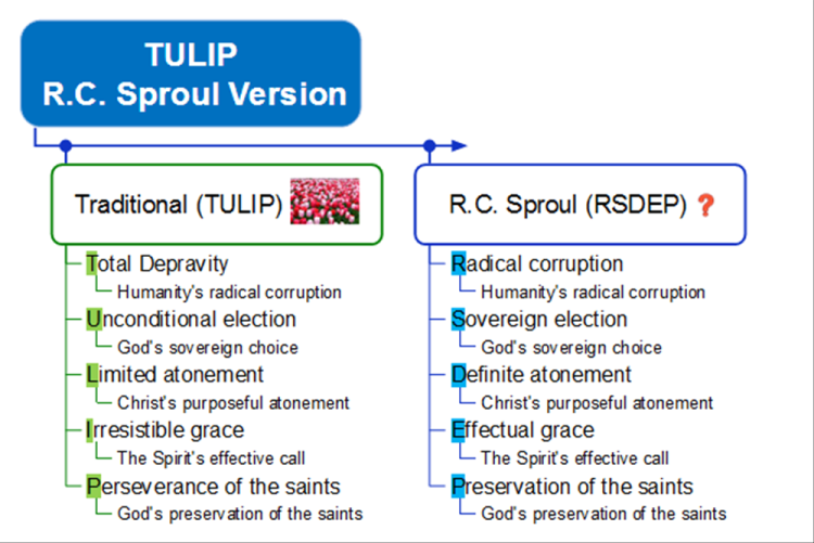 TULIP by R. C. Sproul