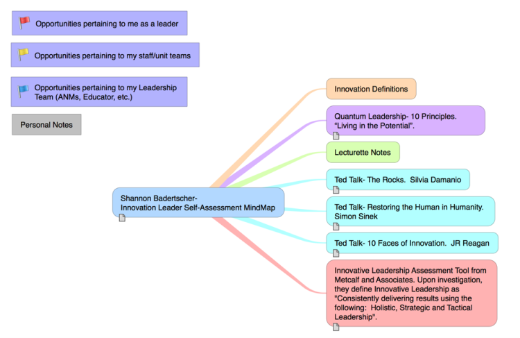 Shannon Badertscher- Innovation Leader Self-Assessment MindMap