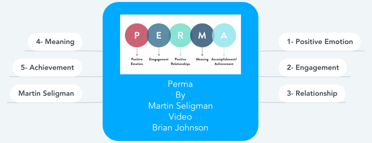 Perma By Martin Seligman Video Brian Johnson