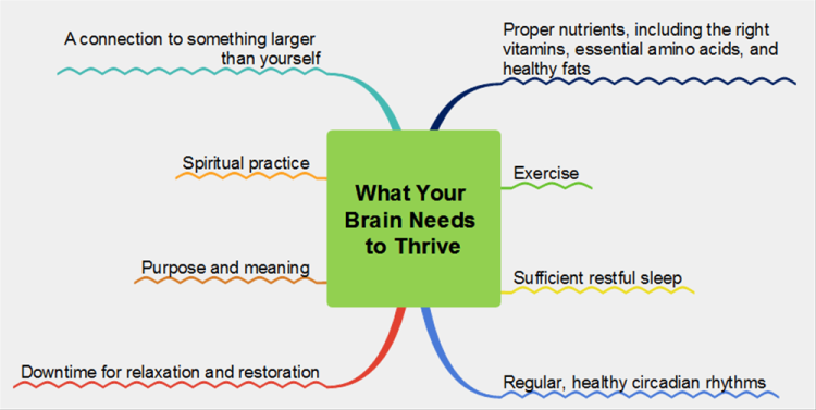 What Your Brain Needs to Thrive