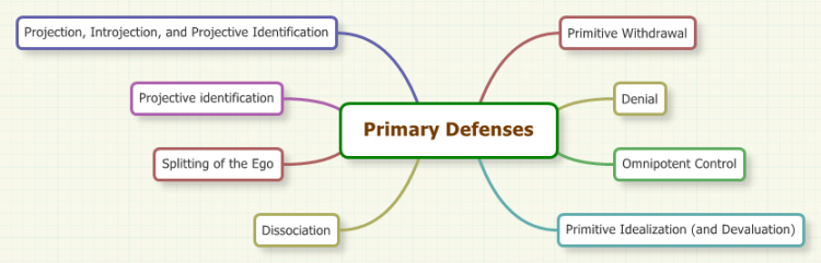 Primary Defenses