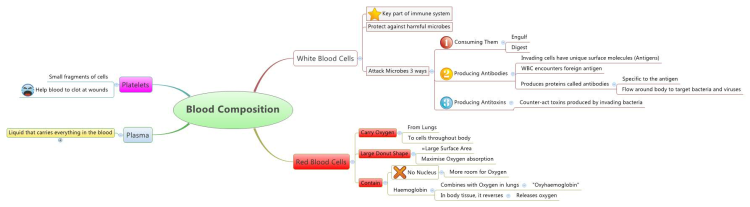 GCSE Biology Mind Map - Blood Composition