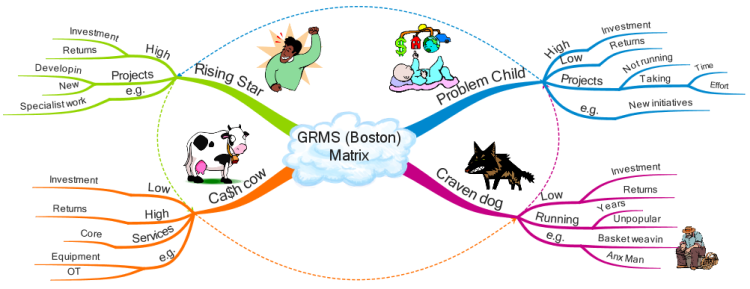 GRMS (Boston) Matrix