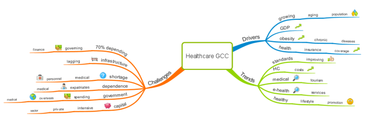 Overview of Healthcare Vertical in Gulf GCC