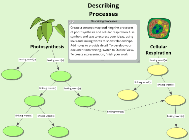 Photosynthesis Template