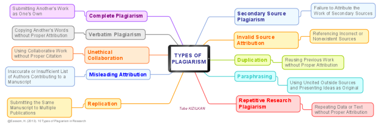 TYPES OF PLAGIARISM