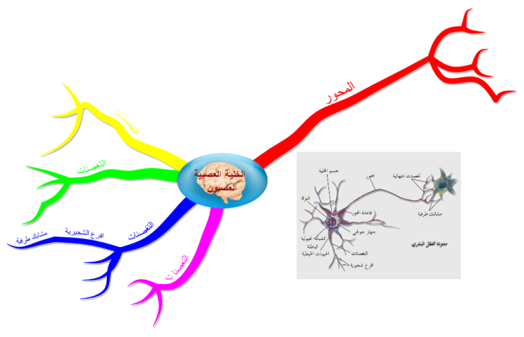خريطة الخلية العصبية
