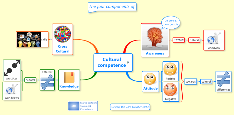 The Four Components of Cultural competence
