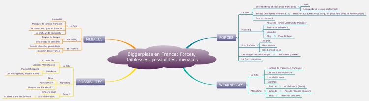 Biggerplate en France: Forces, faiblesses, possibilit&#233;s, menaces