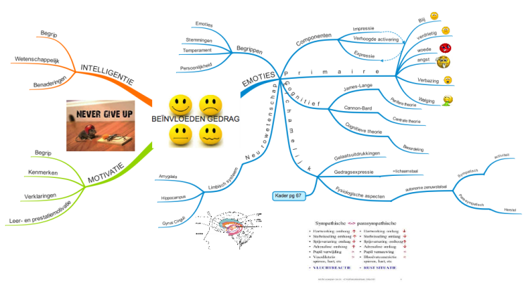 Beïnvloeden Gedrag: iMindMap mind map template | Biggerplate