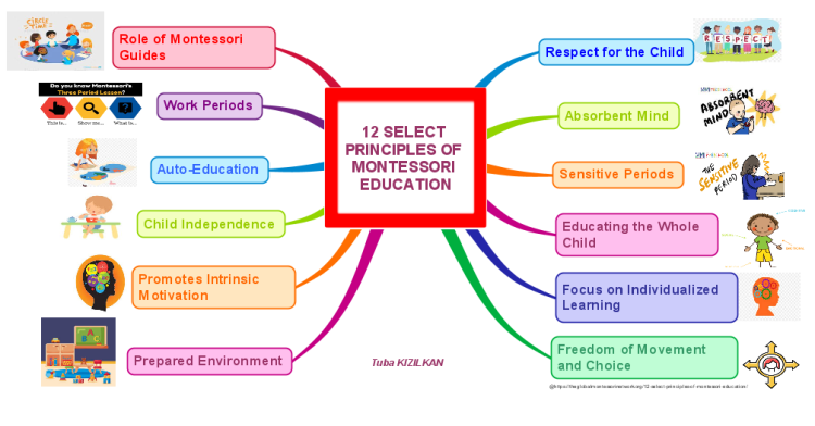 12 Select Principles Of Montessori Education
