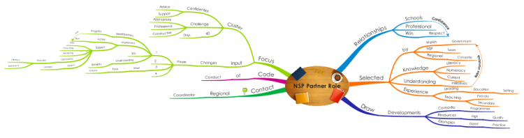 The NSP Partner Role in Wales