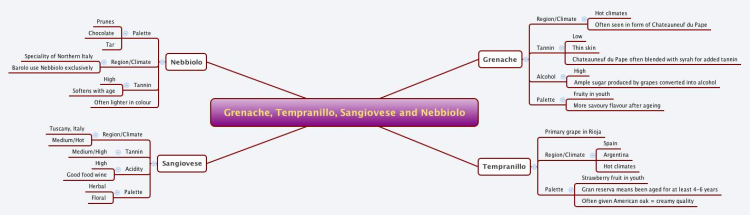 Grenache, Tempranillo, Sangiovese and Nebbiolo