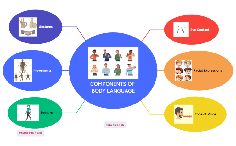 COMPONENTS OF BODY LANGUAGE