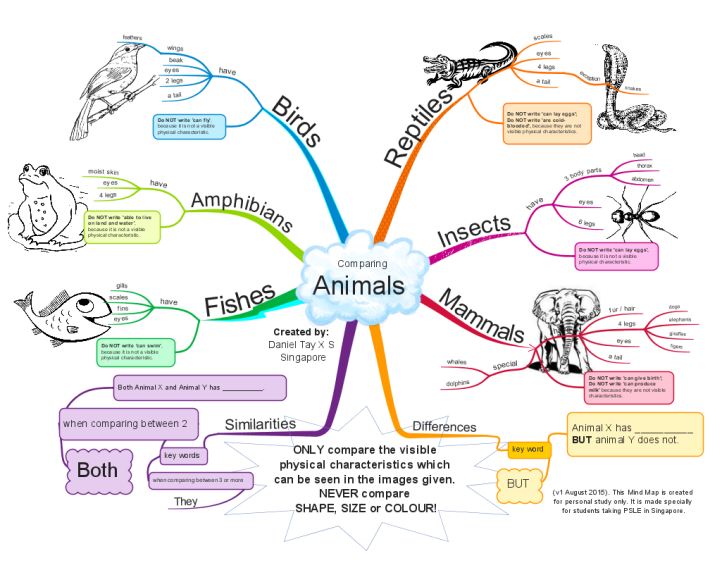 Comparing Animals (FABRIM)