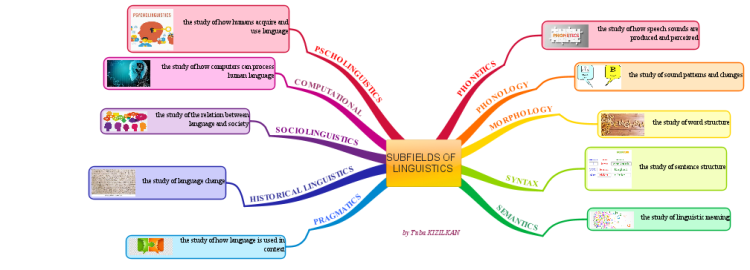 Subfields Of Linguistics