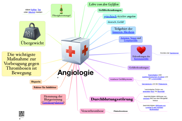 Angiologie – ἀγγεῖον ange ī on