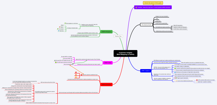 Customer Insights Mind Mapping to Satisfy