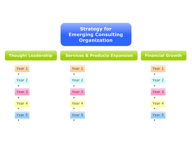 Strategy for Emerging Consulting Organization