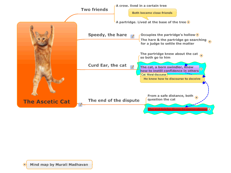 The Ascetic Cat