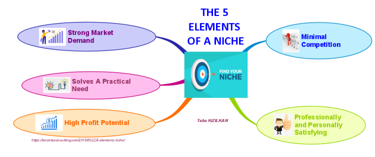 THE 5 ELEMENTS OF A NICHE