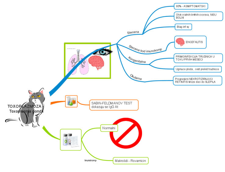 TOXOPLAZMOZA - Toxoplasma gondii