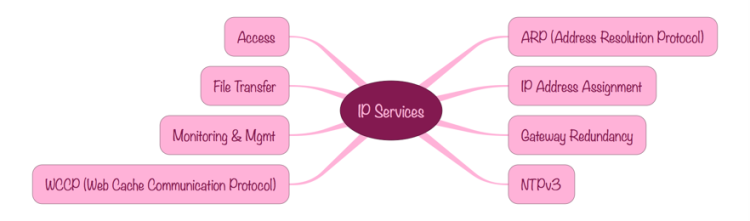 IP Services