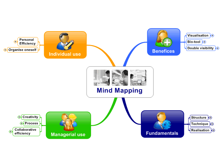 The Mind Map of the Mind Mapping
