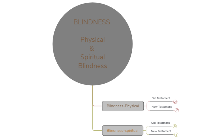 BLINDNESS  PHYSICAL AND  SPIRITUAL BLINDNESS