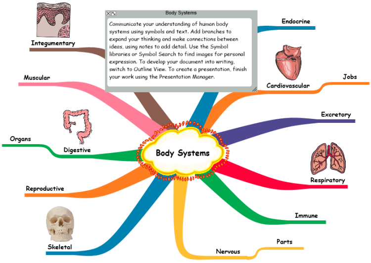Body Systems Template