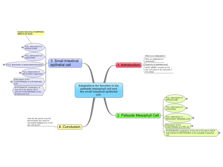 Adaptations of Cells Mind Map