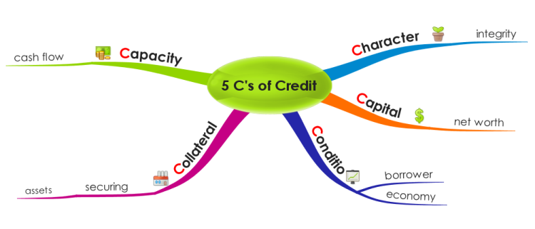 The 5Cs of Credit
