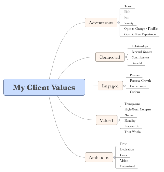 Client Values Example