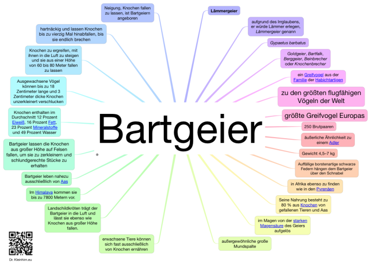 Bartgeier