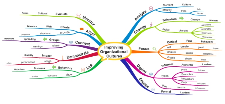 Principles for Improving Organizational Cultures
