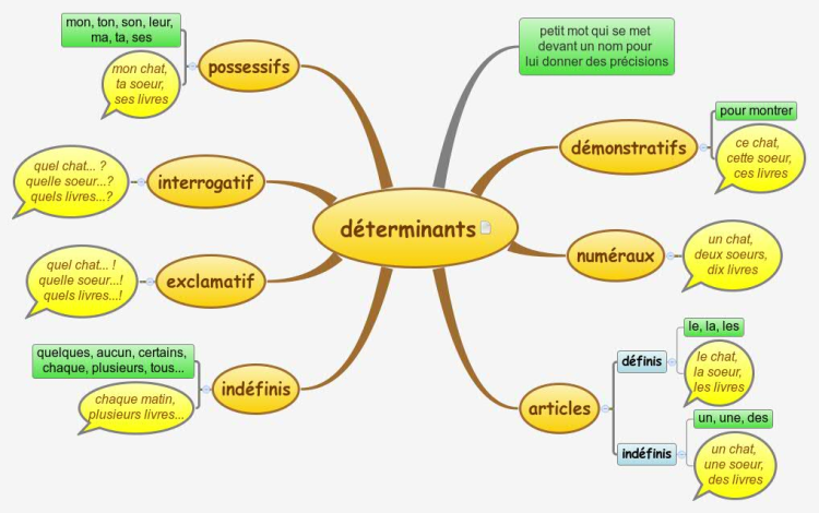 Français CM2: les adjectifs  Mind map, French phrases, Learn french