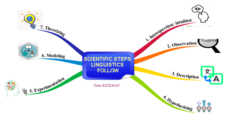 Scientific Steps Linguistics Follow