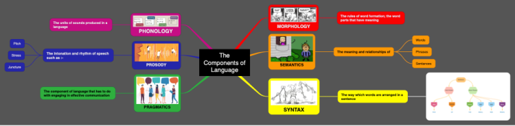 The components of Language