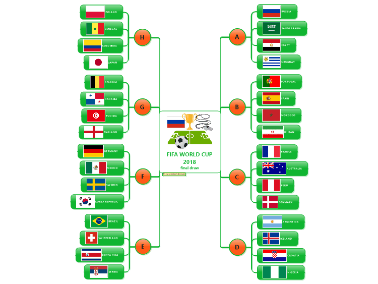 FIFA WORLD CUP 2018 final draw