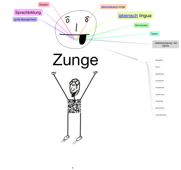 Zunge - Lingua