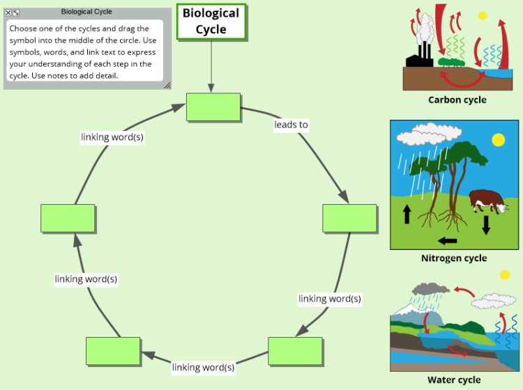 Biogeochemical Cycle Template