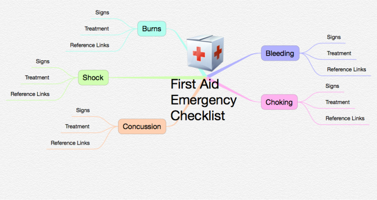 First Aid Emergency Checklist