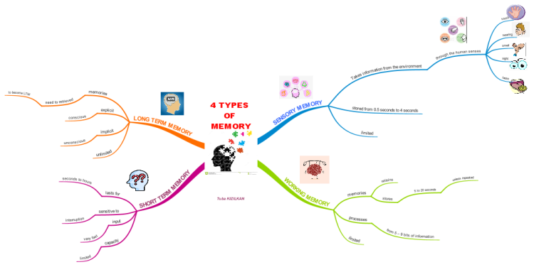 4 Types Of Memory