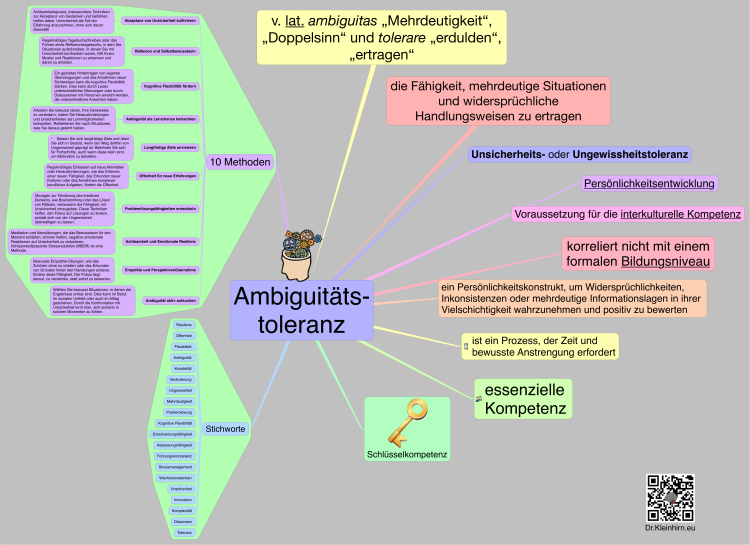 Ambiguit&#228;tstoleranz