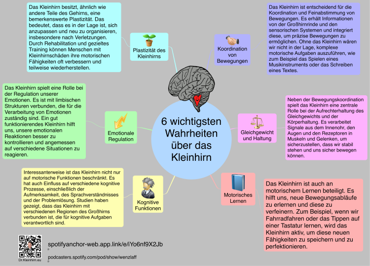 6 wichtigsten Wahrheiten ueber das Kleinhirn