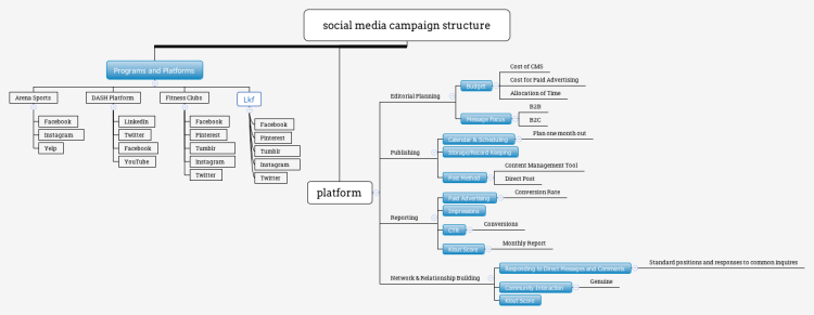 Social Media Campaign Structure