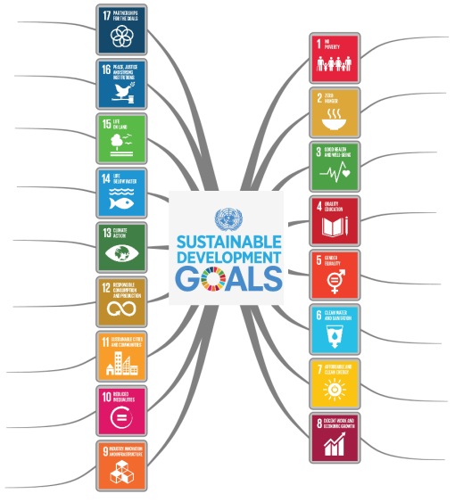 Seventeen Sustainable Development Goals